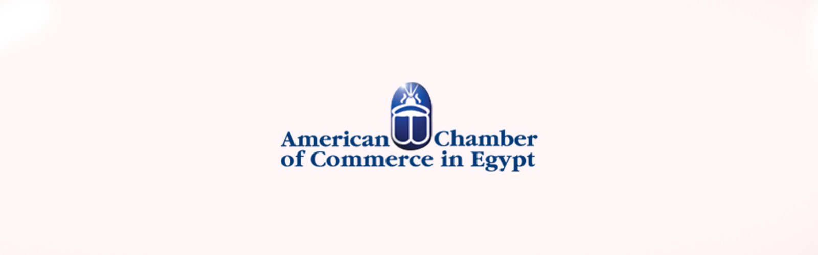American chamber in cairo jobs